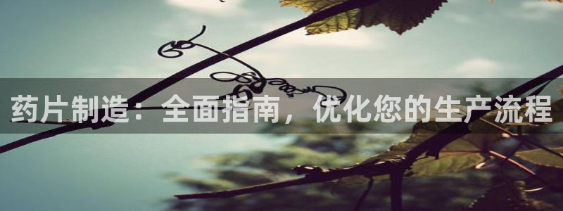 彩神vll首页环球：药片制造：全面指南，优化您的生产流程