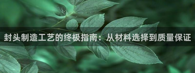 彩神v8几个版本：封头制造工艺的终极指南：从材料选择到质量保证