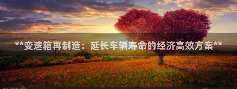 彩神ix平台：**变速箱再制造：延长车辆寿命的经济高效方案**