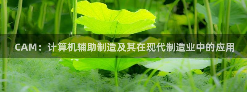 彩神v8手机客户端在哪： CAM：计算机辅助制造及其在现代制造业中的应用