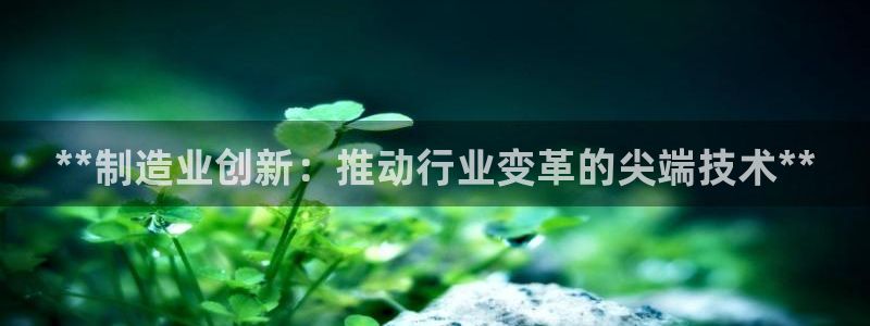 彩神v|：**制造业创新：推动行业变革的尖端技术**