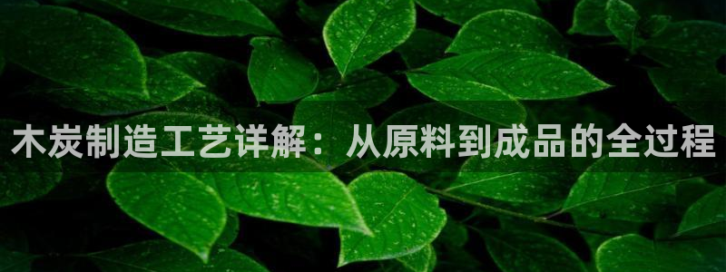 彩神Vii购彩-购彩大厅：木炭制造工艺详解：从原料到成品的全