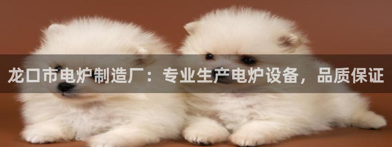 彩神广告有限公司：龙口市电炉制造厂：专业生产电炉设备，品质保证