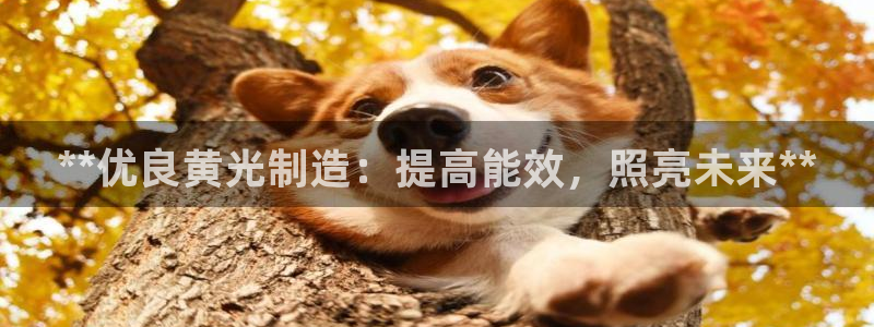 彩神官方邀请码是多少：**优良黄光制造：提高能效，照亮未来**