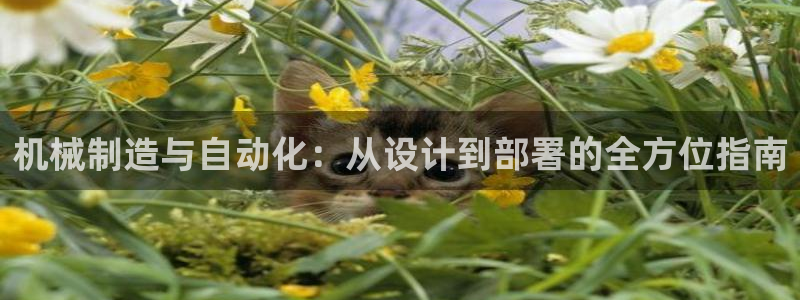 彩神广告有限公司