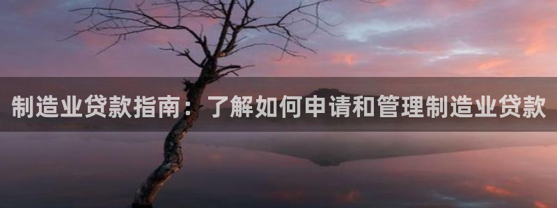 彩神系列平台：制造业贷款指南：了解如何申请和管理制造业贷款