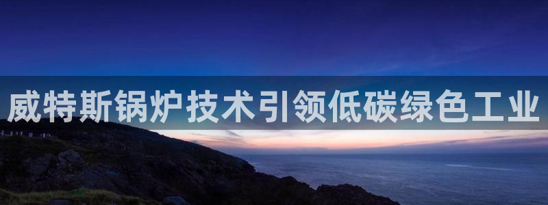 新版彩神v8登录：威特斯锅炉技术引领低碳绿色工业