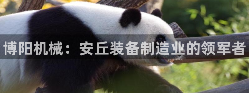 彩神app能挣到钱吗：博阳机械：安丘装备制造业的领军者
