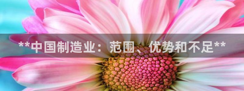 彩神团队是真的吗：**中国制造业：范围、优势和不足**