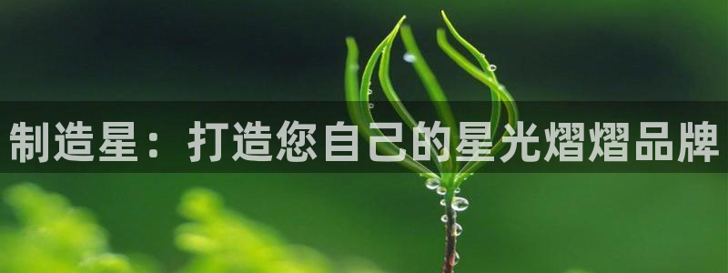 彩神v集团有限公司