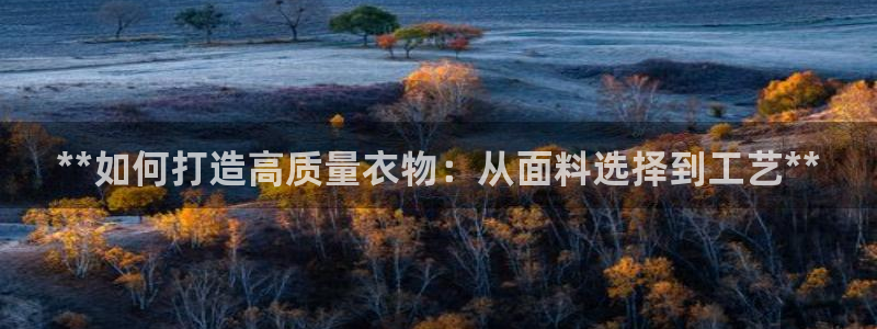 彩神v8app：**如何打造高质量衣物：从面料选择到工艺**