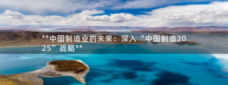 彩神vⅲ下载安装：**中国制造业的未来：深入“中国制造20
25”战略**