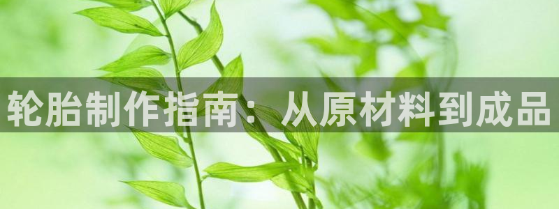 彩神Vii购彩-购彩大厅