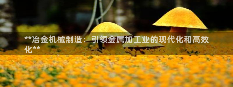 大发彩神最高邀请码