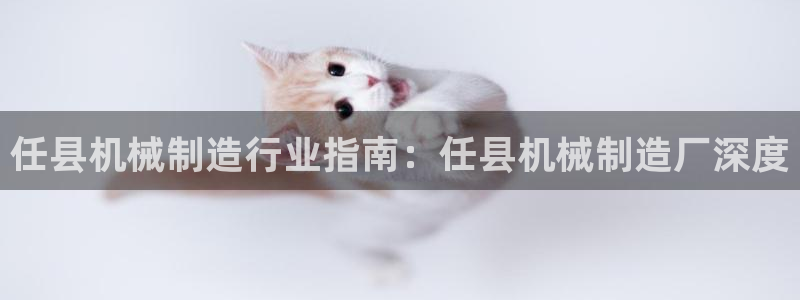 彩神8彩平台客服