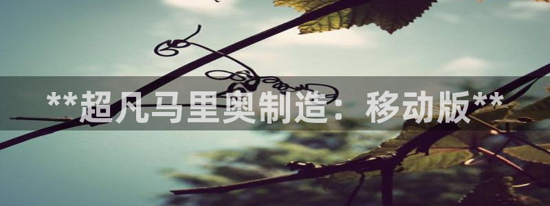 彩神大发如何观察走势：**超凡马里奥制造：移动版**