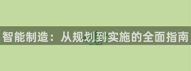 彩神赢的钱是哪里来的：智能制造：从规划到实施的全面指南