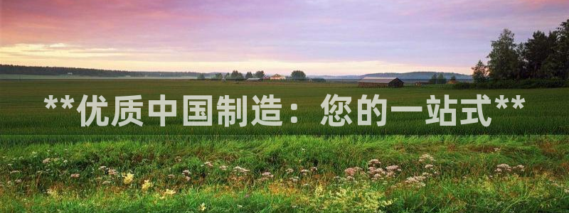 彩神购彩-购彩大厅入口36fr：**优质中国制造：您的一站式**