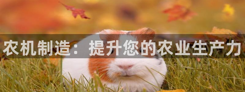 彩神ⅴll是什么样平台：农机制造：提升您的农业生产力