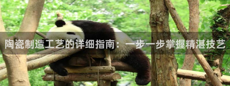 彩神大发三期计划网站：陶瓷制造工艺的详细指南：一步一步掌握精湛技艺
