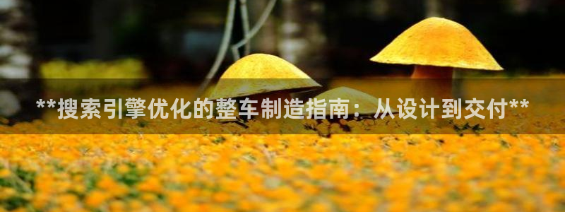 彩神平台能提现吗：**搜索引擎优化的整车制造指南：从设计到交付**