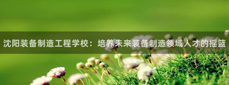 彩神盈利图片