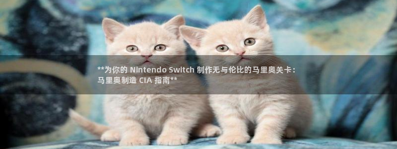 彩神v8首页