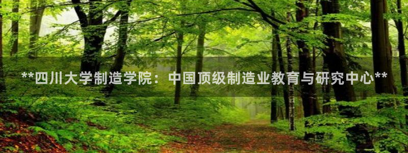 彩神新微聊：**四川大学制造学院：中国顶级制造业教育与研究中心**