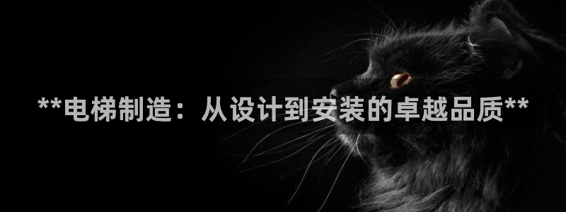 彩神ix官网是哪个公司的：**电梯制造：从设计到安装的卓越品质**