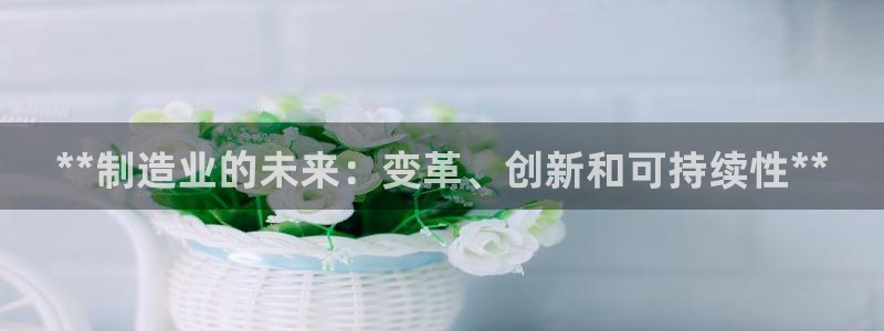 天天赢彩神：**制造业的未来：变革、创新和可持续性**