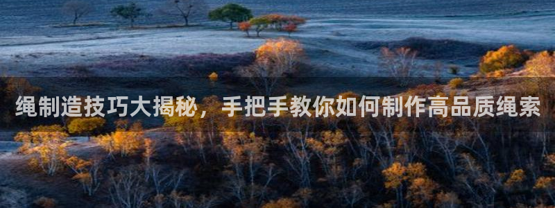 彩神vlll官方网：绳制造技巧大揭秘，手把手教你如何制作高品质绳索