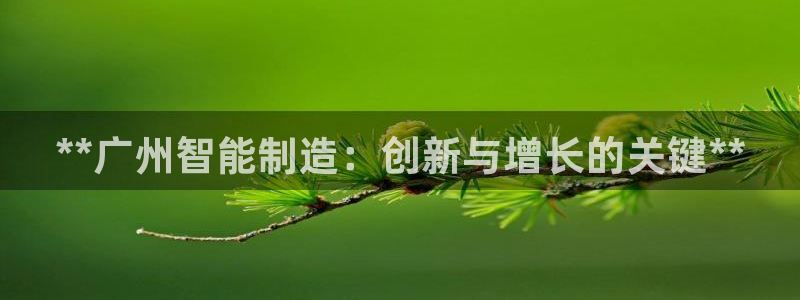 彩神v8手机客户端下载：**广州智能制造：创新与增长的关键**
