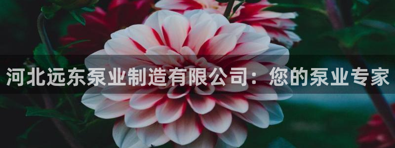彩神vll官网-最新版app下载：河北远东泵业制造有限公司：您的泵业专家