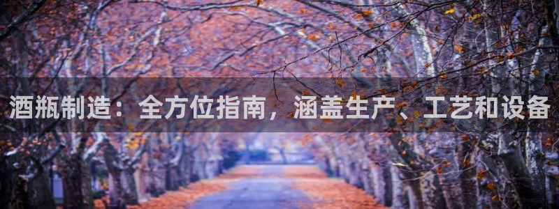 下载彩神争霸谁与我争锋：酒瓶制造：全方位指南，涵盖生产、工艺和设备