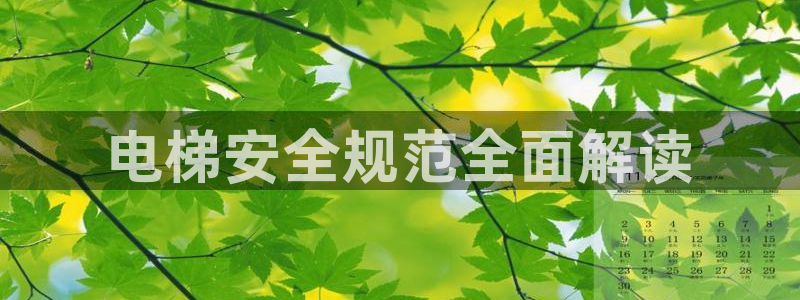 下载彩神通关注金码：电梯安全规范全面解读