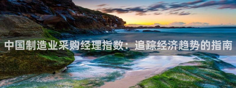 彩神iv争霸购彩大厅：中国制造业采购经理指数：追踪经济趋势的指南
