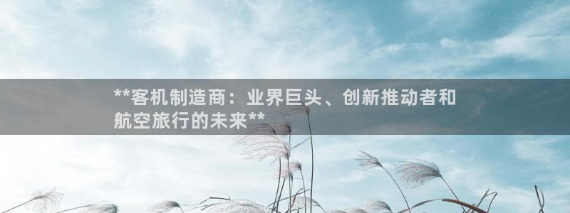彩神V购彩大厅：**客机制造商：业界巨头、创新推动者和
航空旅行的未来**